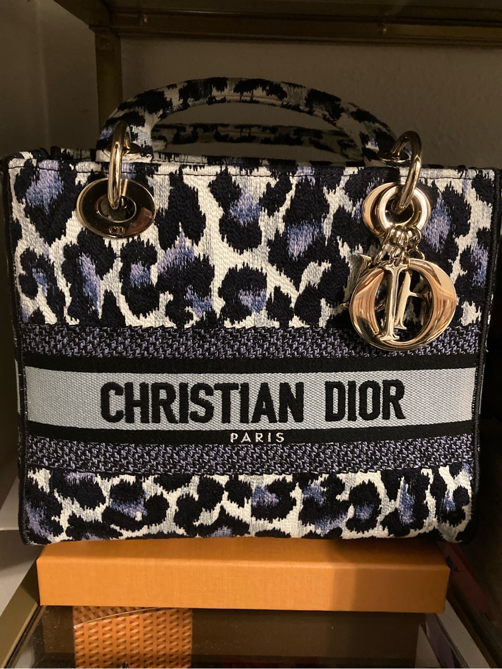 Dior Mitzvah D-lite Bag RARE